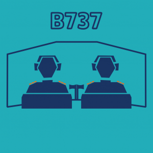B737 Type