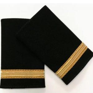 eupalettes 1 gold bar